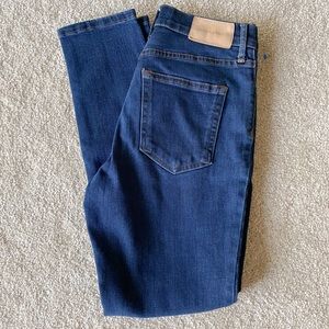Everlane Dark Wash Skinny Jeans